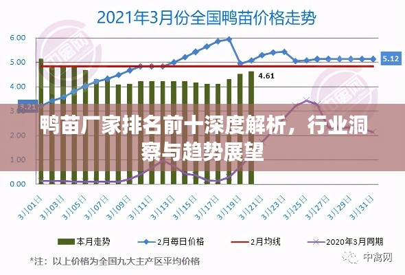 鸭苗厂家排名前十深度解析,行业洞察与趋势展望