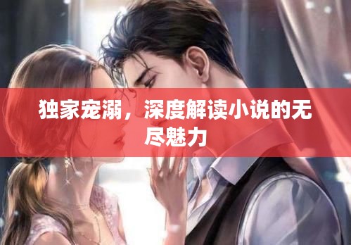 独家宠溺,深度解读小说的无尽魅力