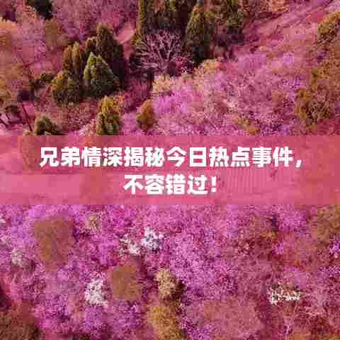 兄弟情深揭秘今日热点事件,不容错过!
