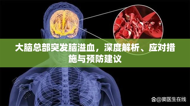 大脑总部突发脑溢血,深度解析、应对措施与预防建议