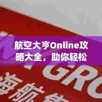 航空大亨Online攻略大全,助你轻松玩转游戏!