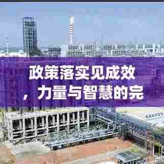 政策落实见成效，力量与智慧的完美融合之旅