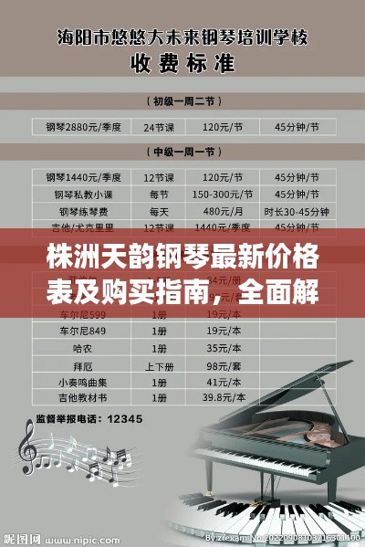 株洲天韵钢琴最新价格表及购买指南，全面解析让您一目了然