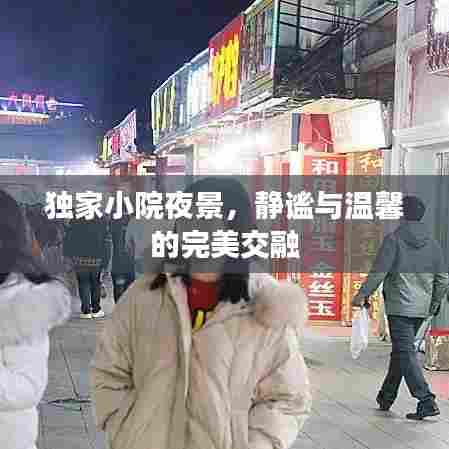 独家小院夜景，静谧与温馨的完美交融
