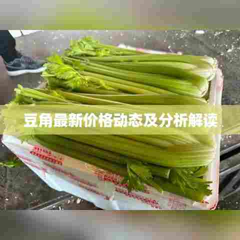 豆角最新价格动态及分析解读