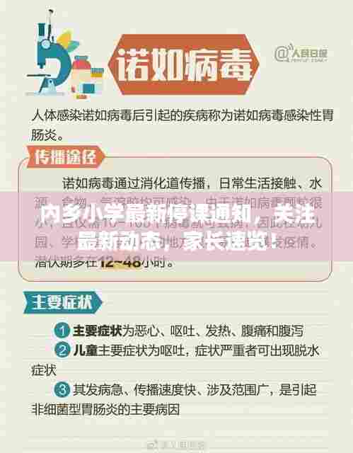 内乡小学最新停课通知，关注最新动态，家长速览！