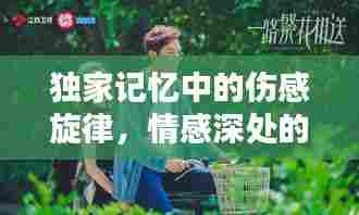 独家记忆中的伤感旋律,情感深处的回响