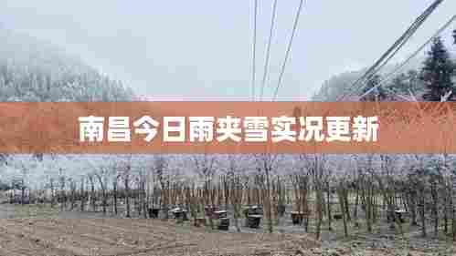 南昌今日雨夹雪实况更新