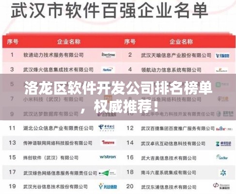 洛龙区软件开发公司排名榜单,权威推荐!