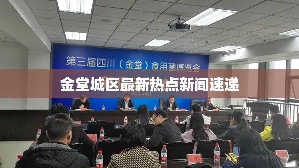 金堂城区最新热点新闻速递