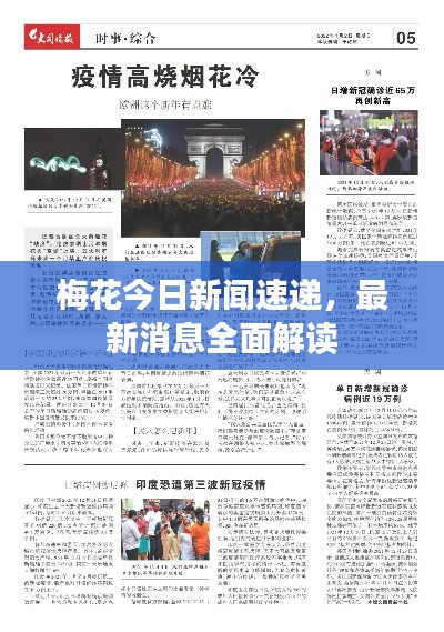 梅花今日新闻速递,最新消息全面解读