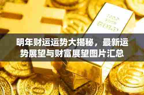 明年财运运势大揭秘，最新运势展望与财富展望图片汇总