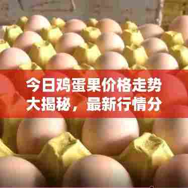 今日鸡蛋果价格走势大揭秘,最新行情分析!