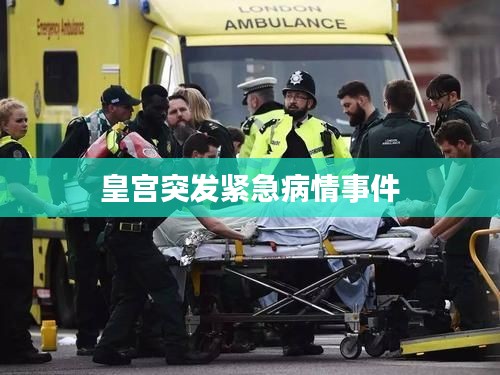 皇宫突发紧急病情事件