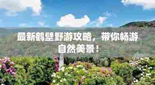 最新鹤壁野游攻略，带你畅游自然美景！