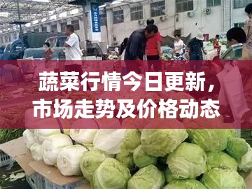蔬菜行情今日更新，市场走势及价格动态一网打尽