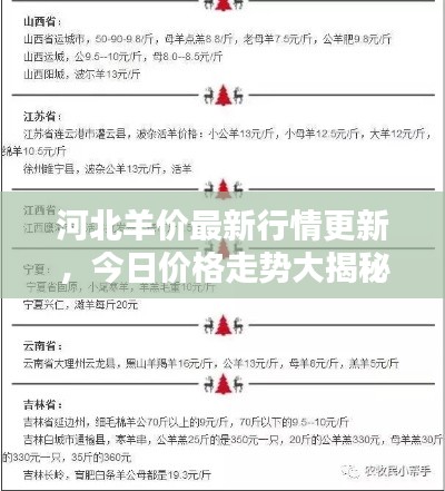 河北羊价最新行情更新,今日价格走势大揭秘!