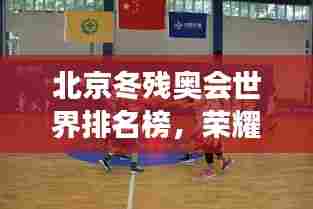 北京冬残奥会世界排名榜，荣耀与激情的体育盛宴，展现运动员风采！
