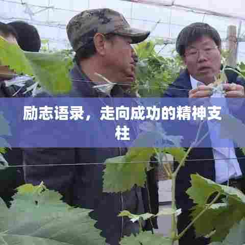 励志语录,走向成功的精神支柱