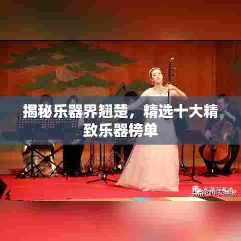 揭秘乐器界翘楚，精选十大精致乐器榜单
