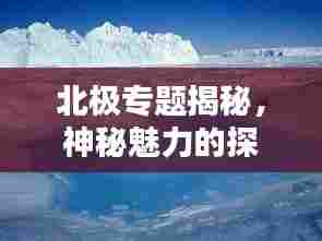 北极专题揭秘,神秘魅力的探索与未来挑战
