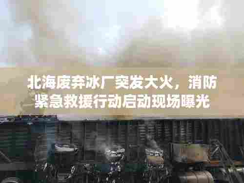 北海废弃冰厂突发大火,消防紧急救援行动启动现场曝光