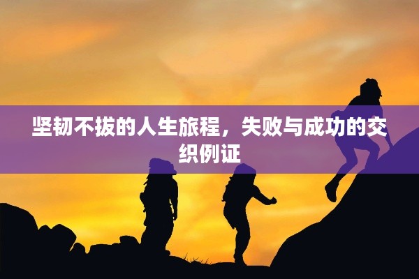 坚韧不拔的人生旅程，失败与成功的交织例证
