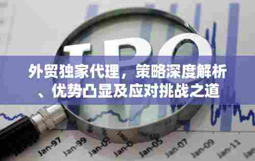 外贸独家代理，策略深度解析、优势凸显及应对挑战之道