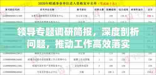 领导专题调研简报,深度剖析问题,推动工作高效落实