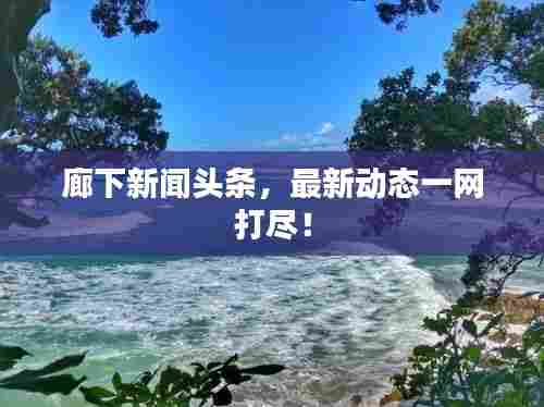廊下新闻头条，最新动态一网打尽！