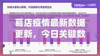 葛店疫情最新数据更新，今日关键数据揭秘