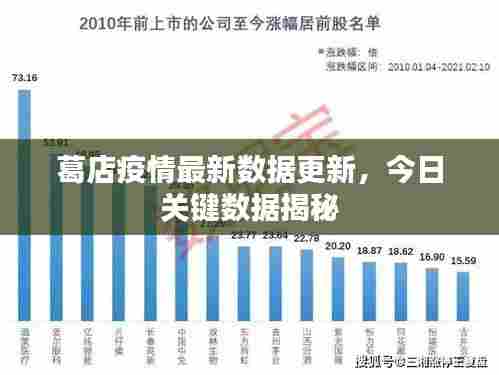 葛店疫情最新数据更新,今日关键数据揭秘