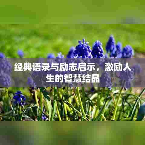 经典语录与励志启示,激励人生的智慧结晶