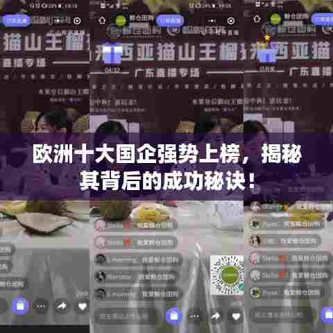 欧洲十大国企强势上榜，揭秘其背后的成功秘诀！