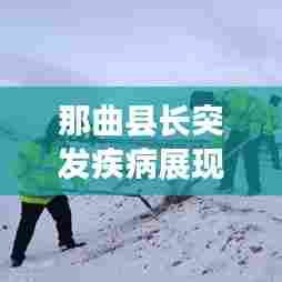 那曲县长突发疾病展现坚强领导力，逆境彰显领导风范