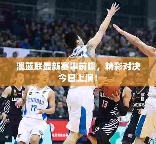 澳篮联最新赛事前瞻，精彩对决今日上演！