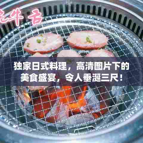 独家日式料理,高清图片下的美食盛宴,令人垂涎三尺!