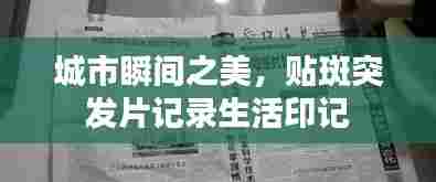 城市瞬间之美，贴斑突发片记录生活印记
