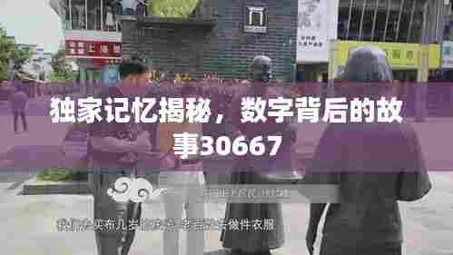 独家记忆揭秘,数字背后的故事30667