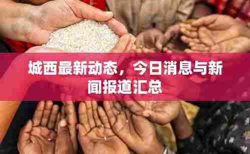 城西最新动态,今日消息与新闻报道汇总