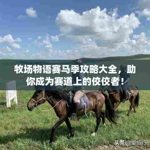 牧场物语赛马季攻略大全,助你成为赛道上的佼佼者!