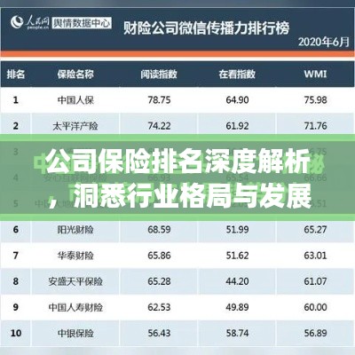 公司保险排名深度解析,洞悉行业格局与发展趋势