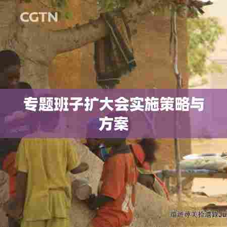 专题班子扩大会实施策略与方案