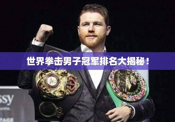 世界拳击男子冠军排名大揭秘！