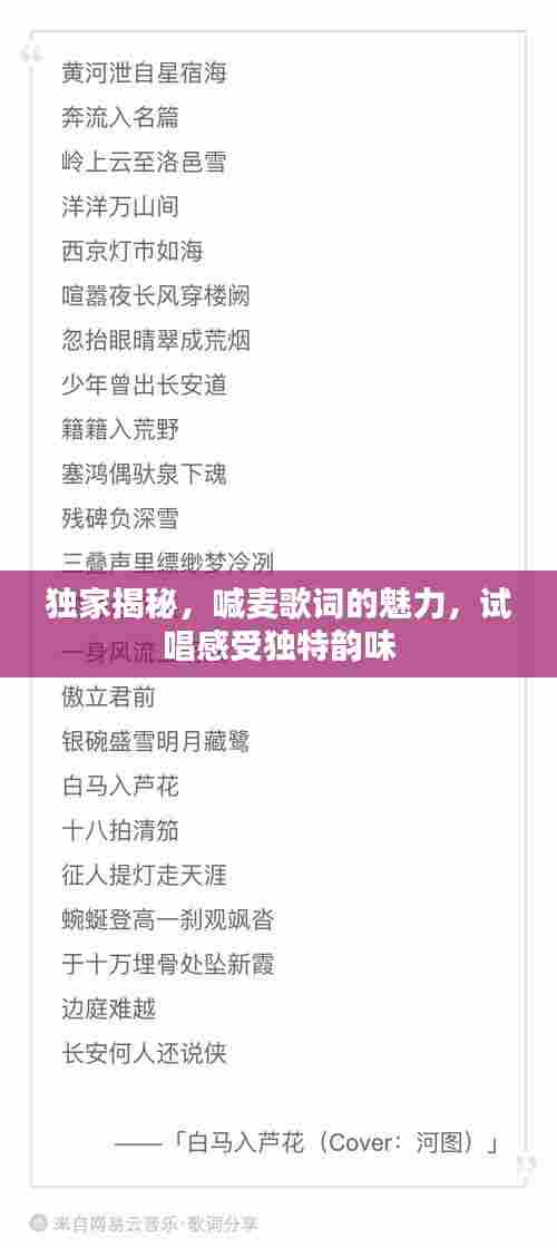 独家揭秘,喊麦歌词的魅力,试唱感受独特韵味