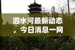 泗水河最新动态,今日消息一网打尽!