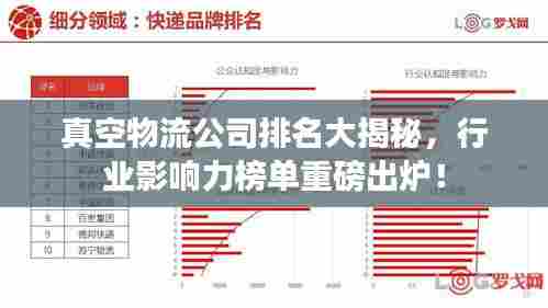 真空物流公司排名大揭秘,行业影响力榜单重磅出炉!