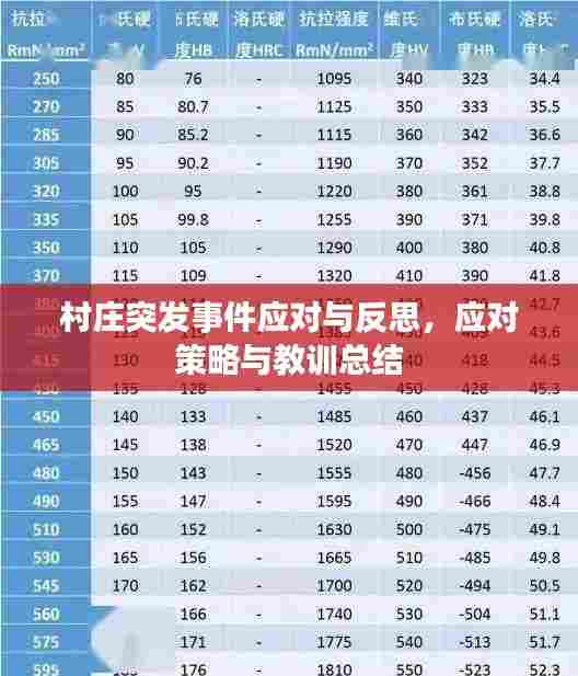 村庄突发事件应对与反思，应对策略与教训总结