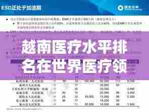 越南医疗水平排名在世界医疗领域的地位概览