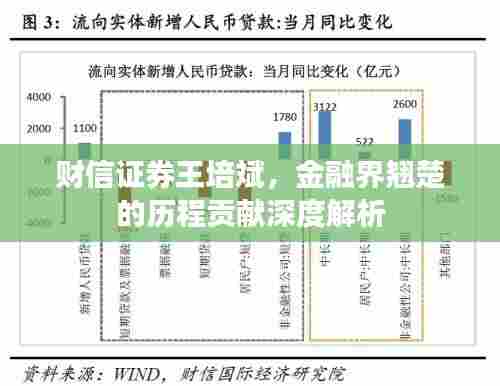 财信证券王培斌,金融界翘楚的历程贡献深度解析